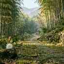 Thumb 97c39dbfd45c558050e08786462aceb2