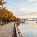 Thumb 5477d43b79ddced554d73587ee1ffc81